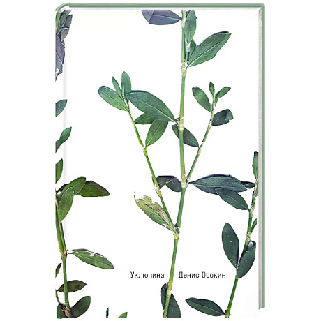 Фото Уключина