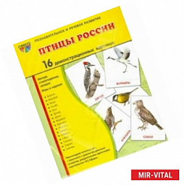 Демонстрационные картинки 'Птицы России' (16 картинок)