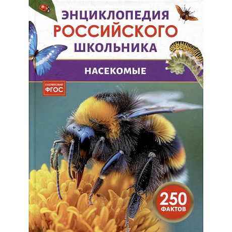 Фото Насекомые. Энциклопедия российского школьника