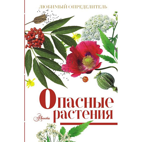 Фото Опасные растения