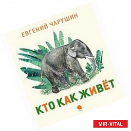 Кто как живет