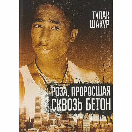 Фото Роза, проросшая сквозь бетон
