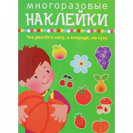 Что растет в лесу,в огороде,на лугу