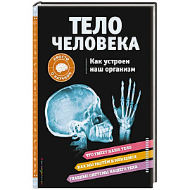 Тело человека. Как устроен наш организм