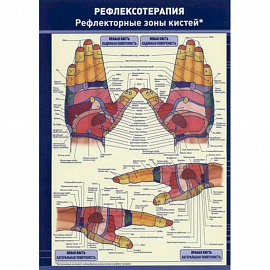 Рефлексотерапия. Рефлекторные зоны кистей