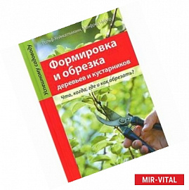 Формировка и обрезка деревьев и кустарников