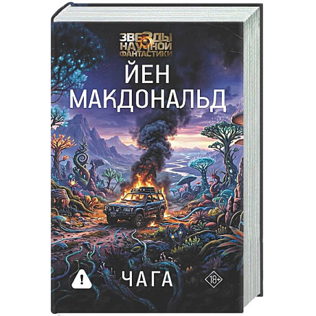 Фото Чага