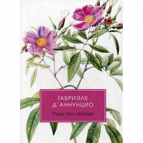 Фото Леда без лебедя