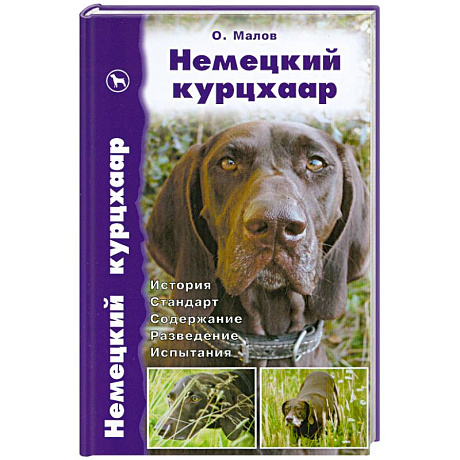 Фото Немецкий курцхаар. История. Стандарт. Содержание. Разведение. Испытания
