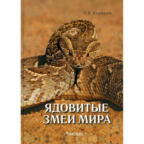 Фото Ядовитые змеи мира