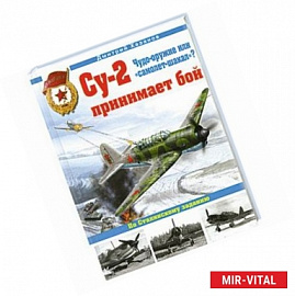 Су-2 принимает бой. Чудо-оружие или 'самолет-шакал'?