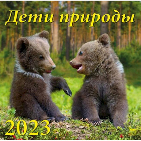 Фото Календарь Дети природы, на 2023 год