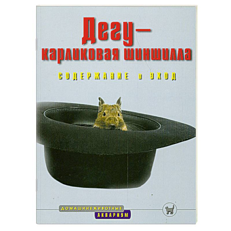 Фото Дегу-карликовая шиншилла. Содержание и уход