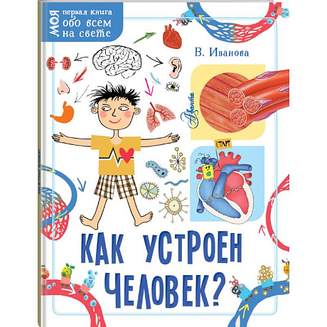 Фото Как устроен человек?
