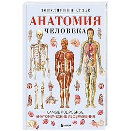 Анатомия человека. Популярный атлас. Самые подробные анатомические изображения