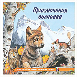 Приключения волчонка