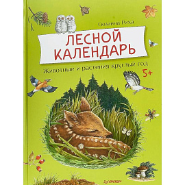 Лесной календарь. Животные и растения круглый год