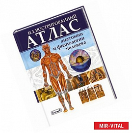 Иллюстрированный атлас анатомии и физиологии человека