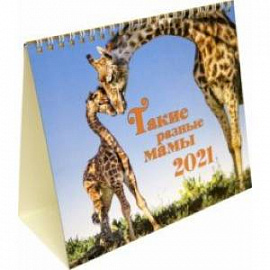 Календарь-домик на 2021 год (евро). Такие разные мамы