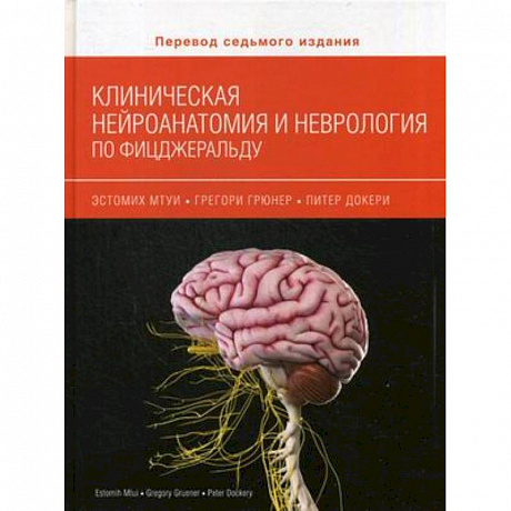 Фото Клиническая нейроанатомия и неврология по Фицжеральду