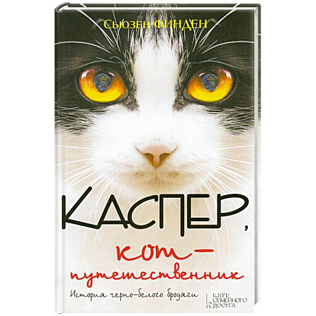 Фото Каспер, кот-путешественник