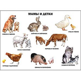 Мамы и детки. Плакат.