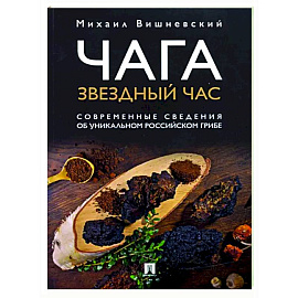 Чага. Звездный час. Современные сведения об уникальном российском грибе