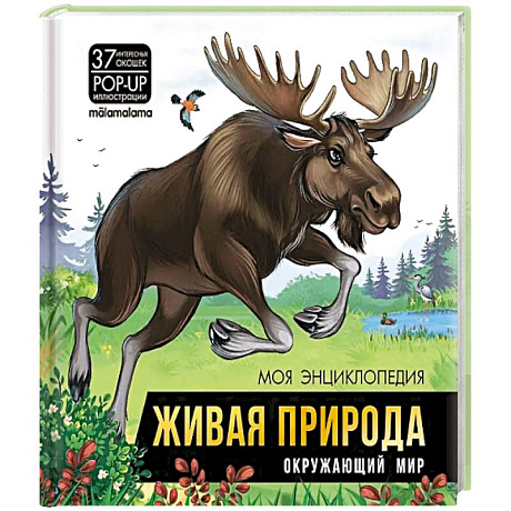 Фото Живая природа. Окружающий мир: книжка-панорамка