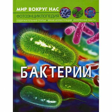 Фото Мир вокруг нас. Бактерии