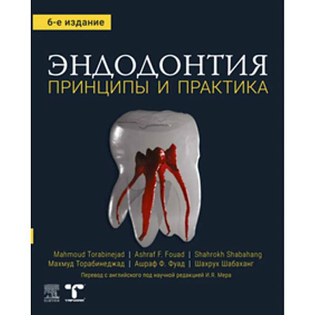 Фото Эндодонтия. Принципы и практика