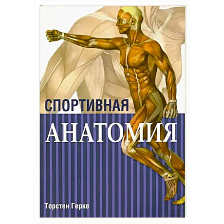 Фото Спортивная анатомия