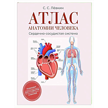 Фото Атлас анатомии человека. Сердечно-сосудистая система