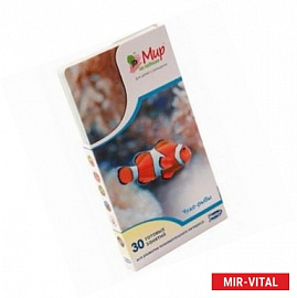 Мир на ладошке-5. Чудо-рыбы (2039)