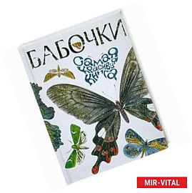 Бабочки