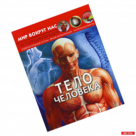Тело человека