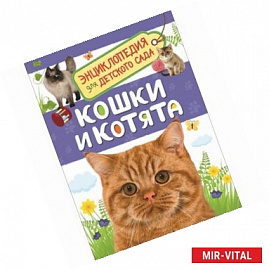 Кошки и котята