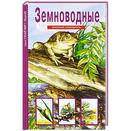 Фото Земноводные. Школьный путеводитель