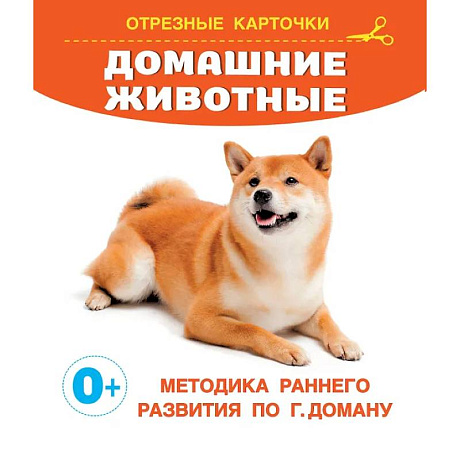 Фото Домашние животные