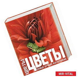 Цветы. Самые лучшие фотографии