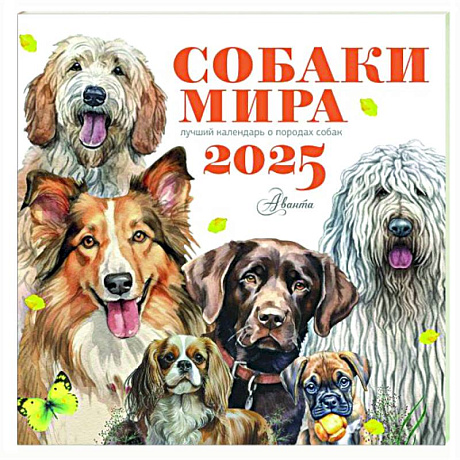 Фото Собаки мира. Календарь для детей на 2025 год