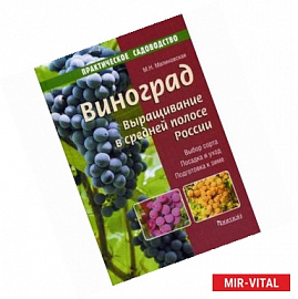 Виноград. Выращивание в средней полосе России