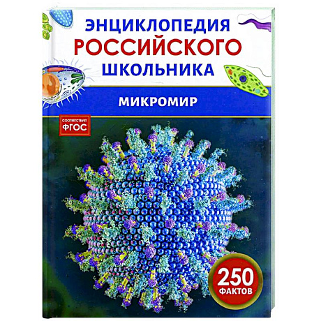 Фото Микромир