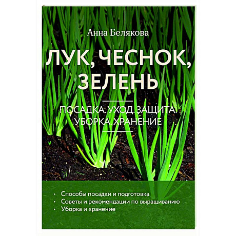 Фото Лук, чеснок, зелень. Посадка. Уход. Защита. Уборка. Хранение