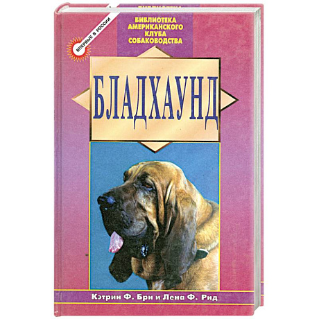 Фото Бладхаунд
