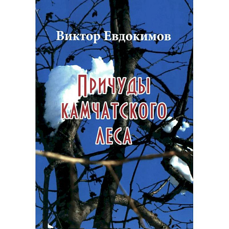 Фото Причуды Камчатского леса