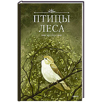 Птицы леса. Артбук
