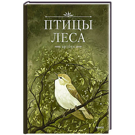 Фото Птицы леса. Артбук