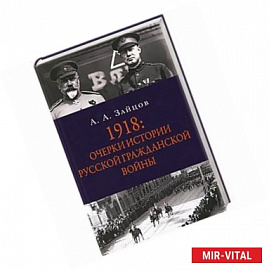 1918: Очерки по истории русской Гражданской войны