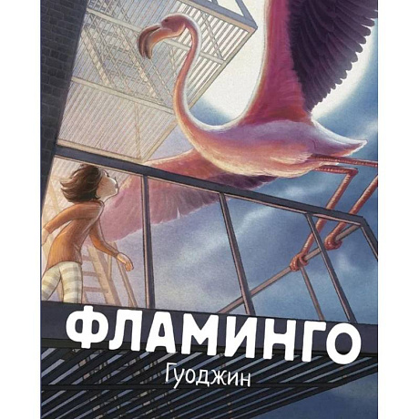 Фото Фламинго