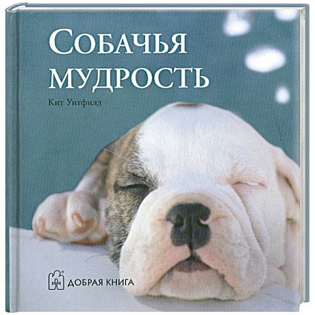 Фото Собачья мудрость